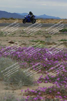 media/Jan-14-2023-SoCal Trackdays (Sat) [[497694156f]]/Turn 14 Exit Bloomig (145pm)/